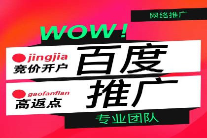 某零售企业网络推广竞价的成功策略分享