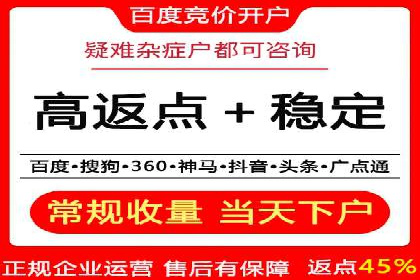 SEM托管服务，实战案例深度剖析